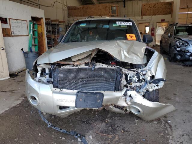 1FMCU9D74CKC27760 - 2012 FORD ESCAPE XLT GOLD photo 5