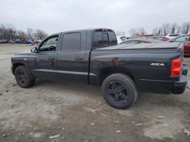 1D7RW3GP2BS592704 - 2011 DODGE DAKOTA SLT BLACK photo 2