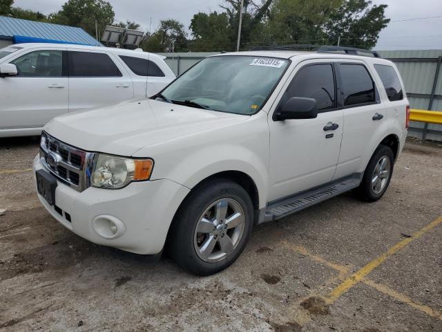 2009 FORD ESCAPE XLT, 