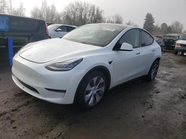 5YJYGDEE5MF094264 - 2021 TESLA MODEL Y WHITE photo 1