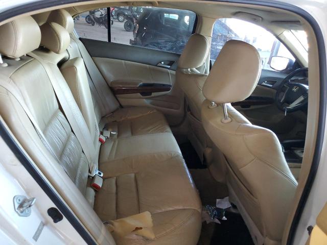 1HGCP36809A030518 - 2009 HONDA ACCORD EXL 白色 照片 10