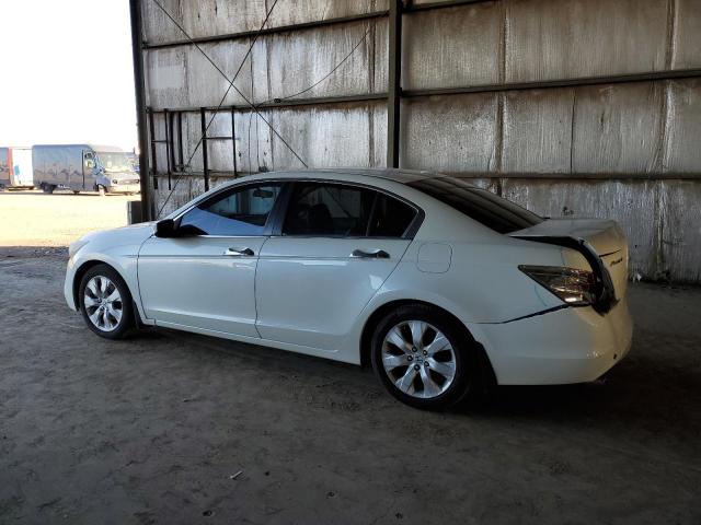 1HGCP36809A030518 - 2009 HONDA ACCORD EXL 白色 照片 2