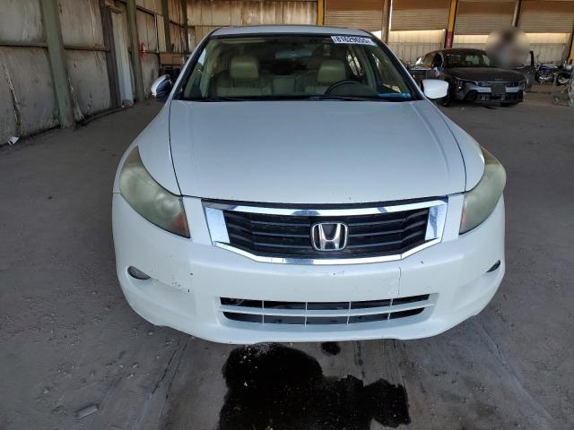 1HGCP36809A030518 - 2009 HONDA ACCORD EXL 白色 照片 5