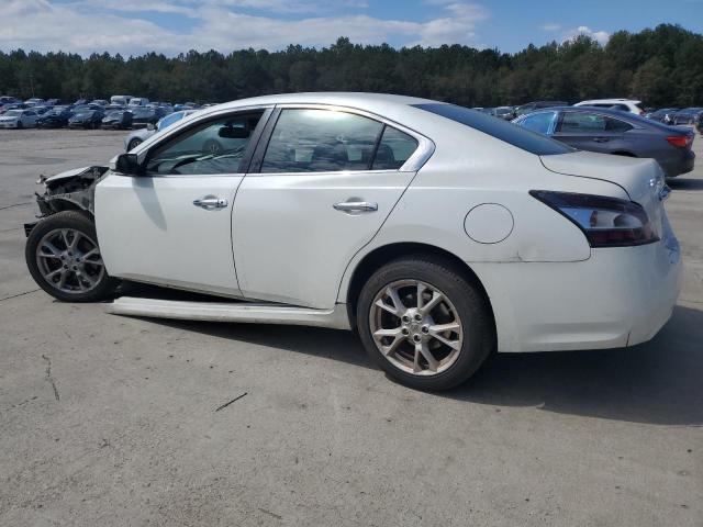 1N4AA5AP6DC827666 - 2013 NISSAN MAXIMA S Ağ foto 2