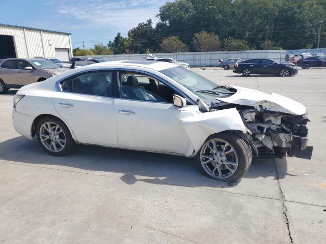 1N4AA5AP6DC827666 - 2013 NISSAN MAXIMA S Ağ foto 4