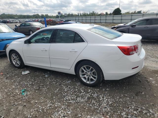 1G11C5SLXEF271192 - 2014 CHEVROLET MALIBU 1LT 白色 照片 2