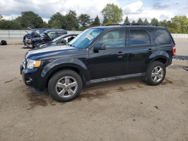 2011 FORD ESCAPE XLT, 