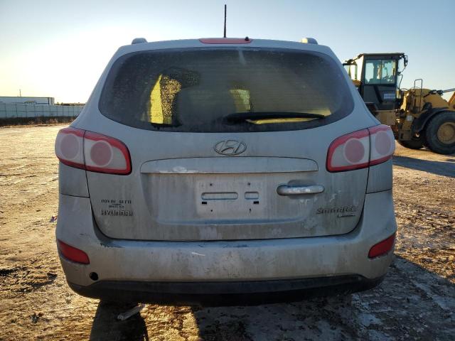 5NMSGDAB6AH364047 - 2010 HYUNDAI SANTA FE GLS SILVER photo 6