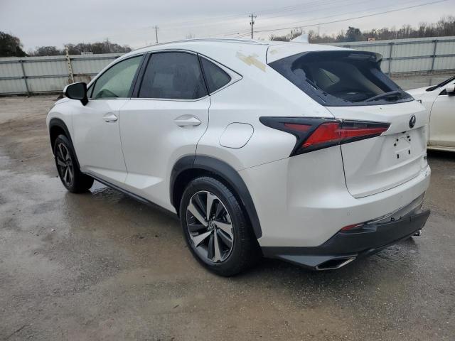 JTJGARBZ5M5023176 - 2021 LEXUS NX 300 BASE Ağ foto 2