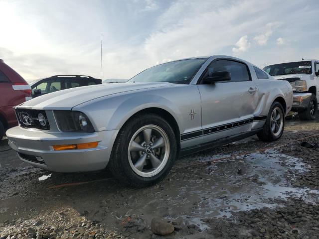 1ZVFT80N265113999 - 2006 FORD MUSTANG SILVER photo 1