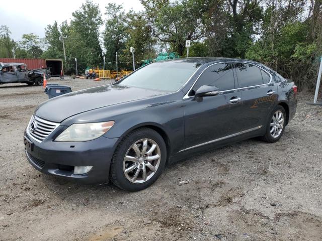 2010 LEXUS LS 460, 