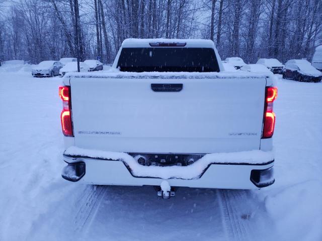 1GCPYBEH0LZ137439 - 2020 CHEVROLET SILVERADO K1500 CUSTOM WHITE photo 6