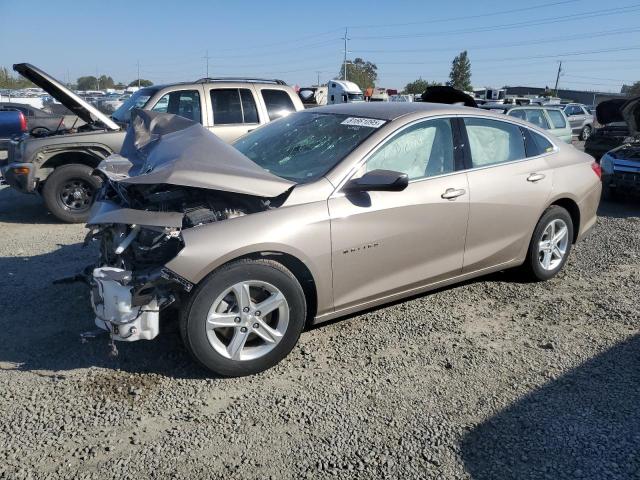 2024 CHEVROLET MALIBU LS, 