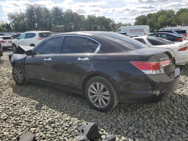 1HGCP2F76BA113331 - 2011 HONDA ACCORD EX ყავისფერი ფოტო 2