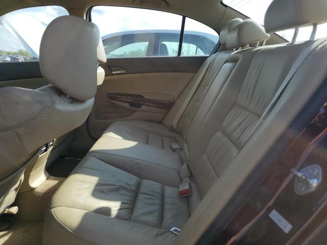 5KBCP3F82AB010623 - 2010 HONDA ACCORD EXL 紫色 照片 10