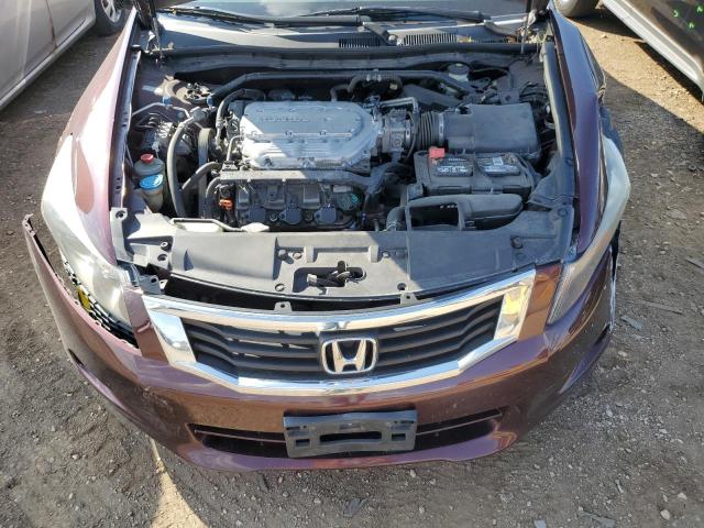 5KBCP3F82AB010623 - 2010 HONDA ACCORD EXL 紫色 照片 11