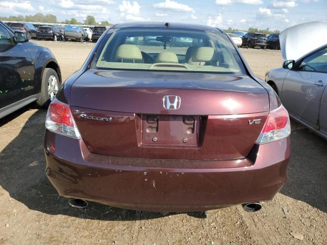 5KBCP3F82AB010623 - 2010 HONDA ACCORD EXL 紫色 照片 6