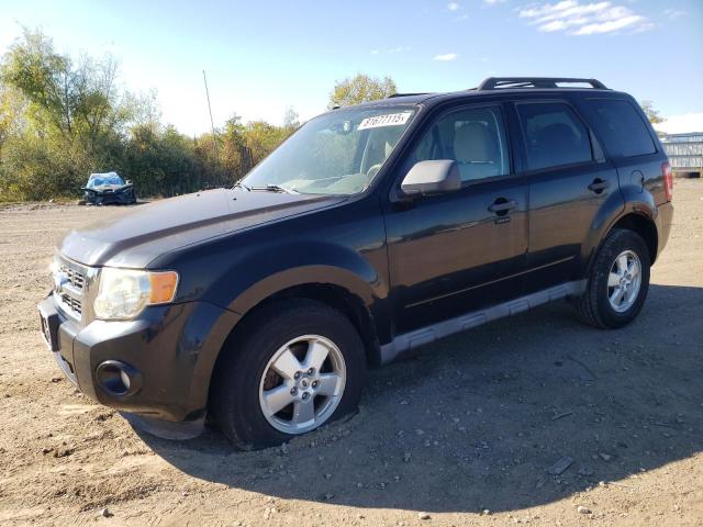 2010 FORD ESCAPE XLT, 