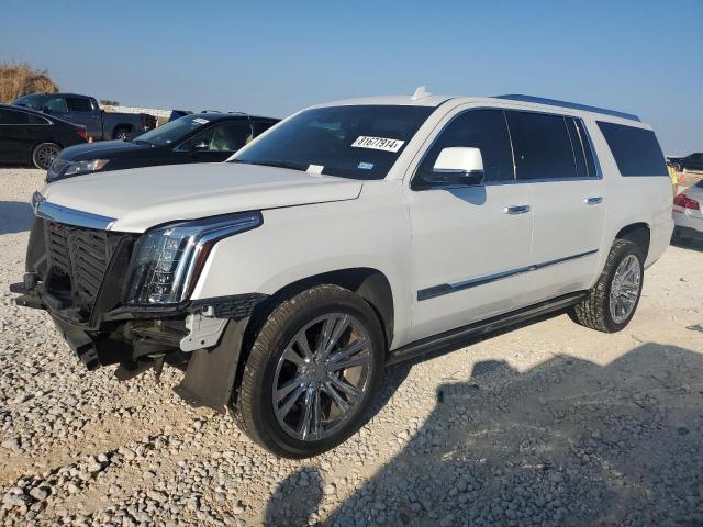 1GYS4KKJ4GR287244 - 2016 CADILLAC ESCALADE ESV PLATINUM თეთრი ფოტო 1