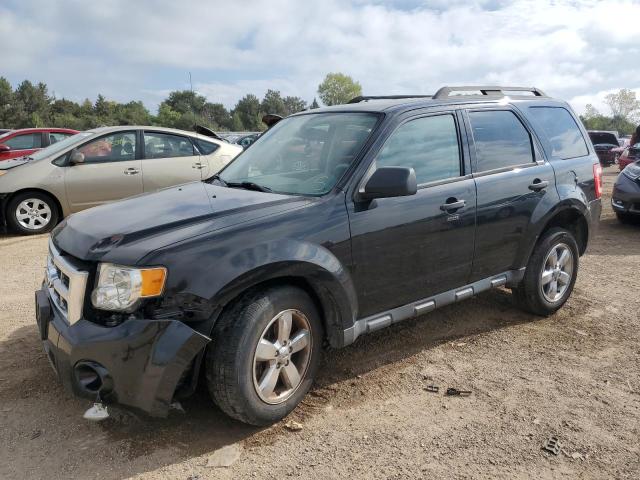 2011 FORD ESCAPE XLT, 