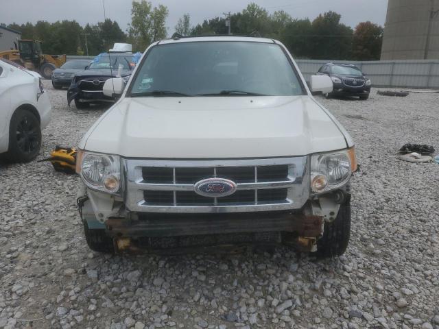 1FMCU94GX9KA08116 - 2009 FORD ESCAPE LIMITED WHITE photo 5