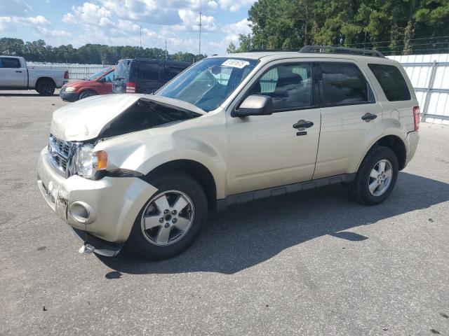 2011 FORD ESCAPE XLT, 