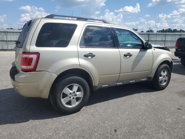 1FMCU0DGXBKA71797 - 2011 FORD ESCAPE XLT GOLD photo 3