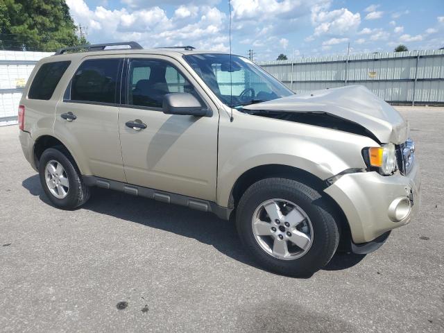 1FMCU0DGXBKA71797 - 2011 FORD ESCAPE XLT GOLD photo 4