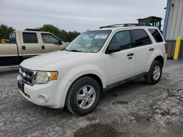 2011 FORD ESCAPE XLT, 