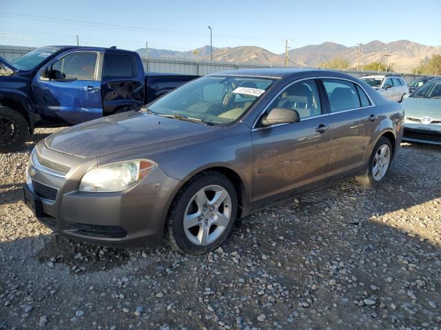 1G1ZB5EB5AF241925 - 2010 CHEV MALIBU LS GRAY photo 1
