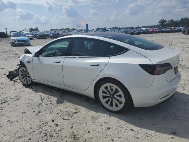 5YJ3E1EB9PF632327 - 2023 TESLA MODEL 3 Blanc photo 2