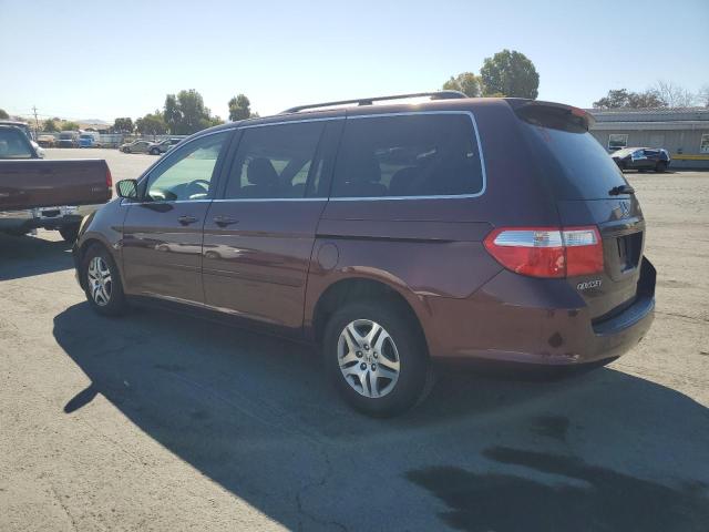 5FNRL38677B426367 - 2007 HONDA ODYSSEY EXL Bordo fotoğraf 2