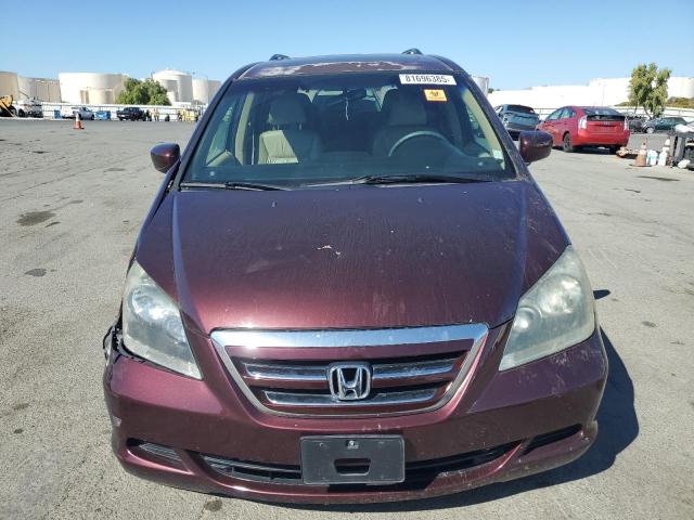 5FNRL38677B426367 - 2007 HONDA ODYSSEY EXL Bordo fotoğraf 5