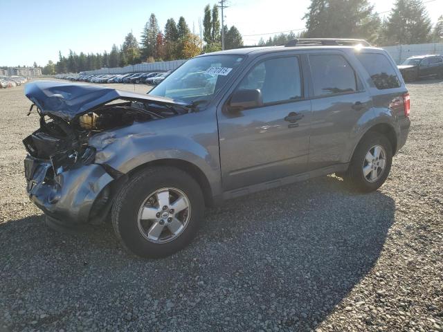 2010 FORD ESCAPE XLT, 