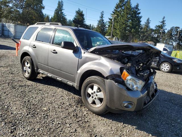 1FMCU9D7XAKD27603 - 2010 FORD ESCAPE XLT GRAY photo 4