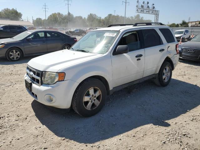 2010 FORD ESCAPE XLT, 
