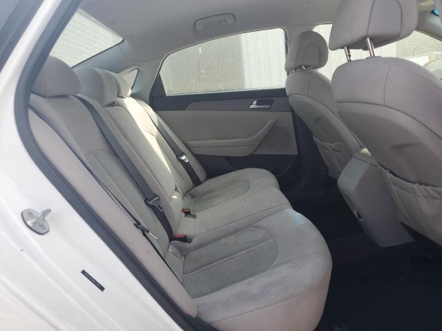 5NPE24AF9GH318917 - 2016 HYUNDAI SONATA SE 白色 照片 10