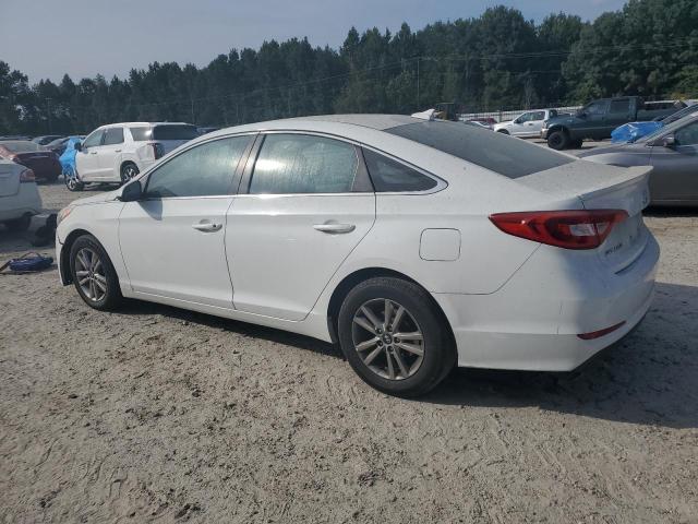 5NPE24AF9GH318917 - 2016 HYUNDAI SONATA SE 白色 照片 2