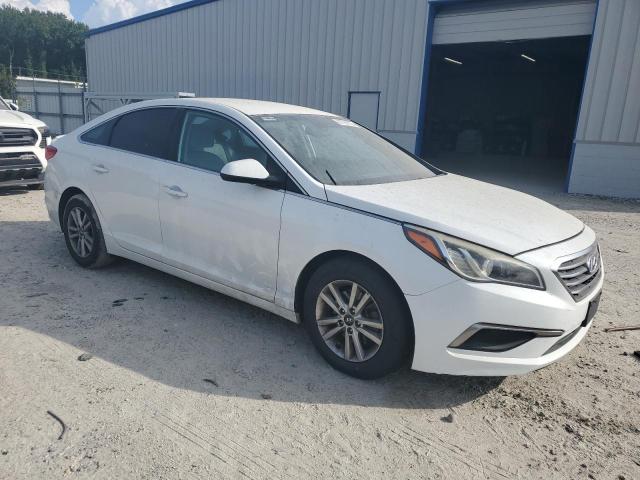 5NPE24AF9GH318917 - 2016 HYUNDAI SONATA SE 白色 照片 4