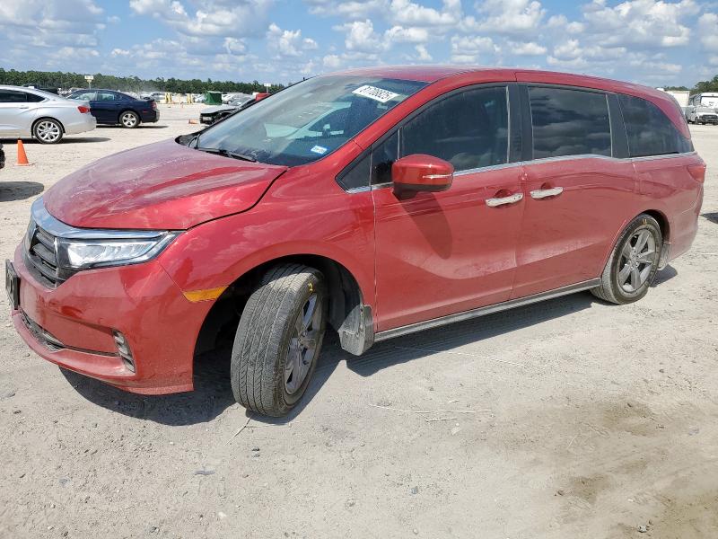 5FNRL6H51RB074074 - 2024 HONDA ODYSSEY EX BURGUNDY photo 1