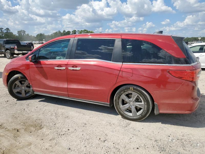 5FNRL6H51RB074074 - 2024 HONDA ODYSSEY EX BURGUNDY photo 2