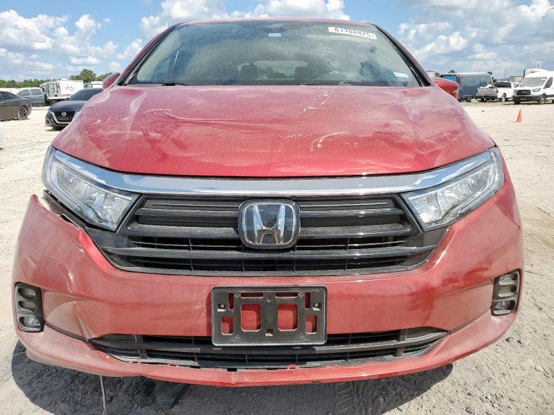 5FNRL6H51RB074074 - 2024 HONDA ODYSSEY EX BURGUNDY photo 5