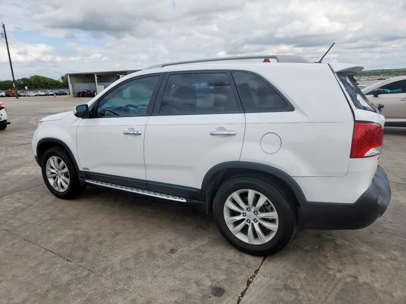 5XYKUCA16BG138855 - 2011 KIA SORENTO EX Ақ фото 2