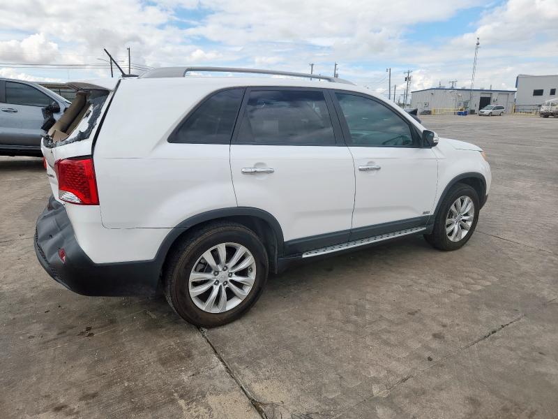 5XYKUCA16BG138855 - 2011 KIA SORENTO EX Ақ фото 3