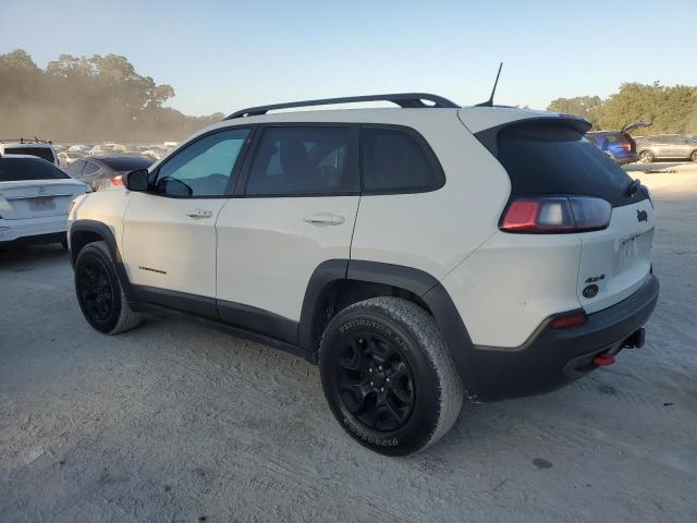 1C4PJMBX0KD310223 - 2019 JEEP CHEROKEE TRAILHAWK Սպիտակ լուսանկար 2