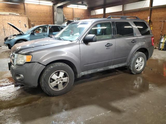 2011 FORD ESCAPE XLT, 