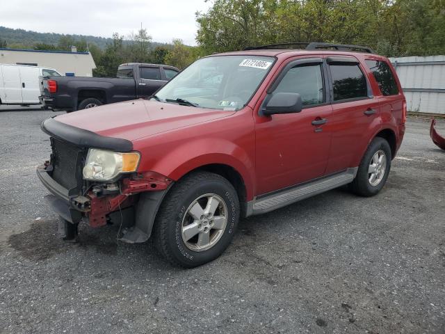 2009 FORD ESCAPE XLT, 