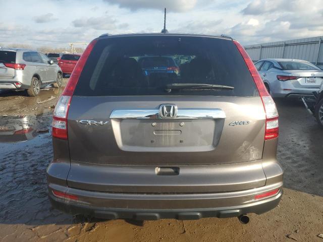 5J6RE4H74AL091320 - 2010 HONDA CR-V EXL GRAY photo 6