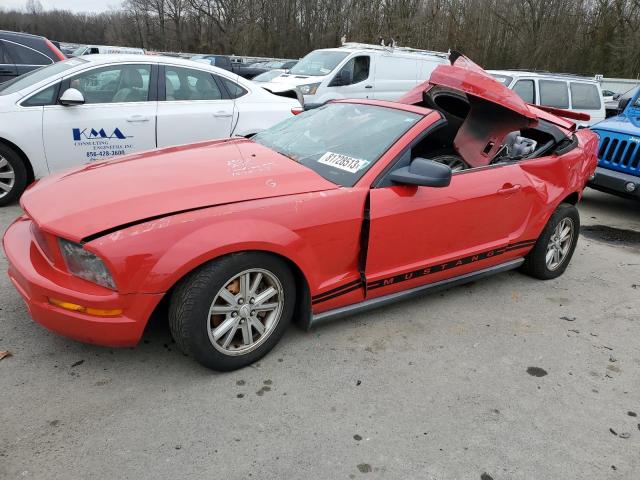 1ZVHT84N185193690 - 2008 FORD MUSTANG RED photo 1