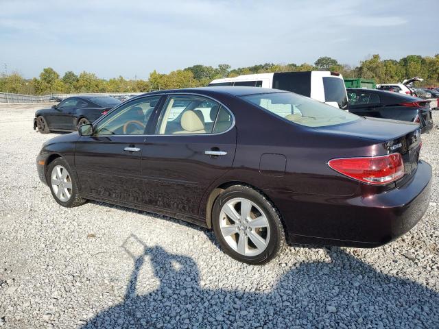 JTHBA30G665148734 - 2006 LEXUS ES 330 栗色 照片 2